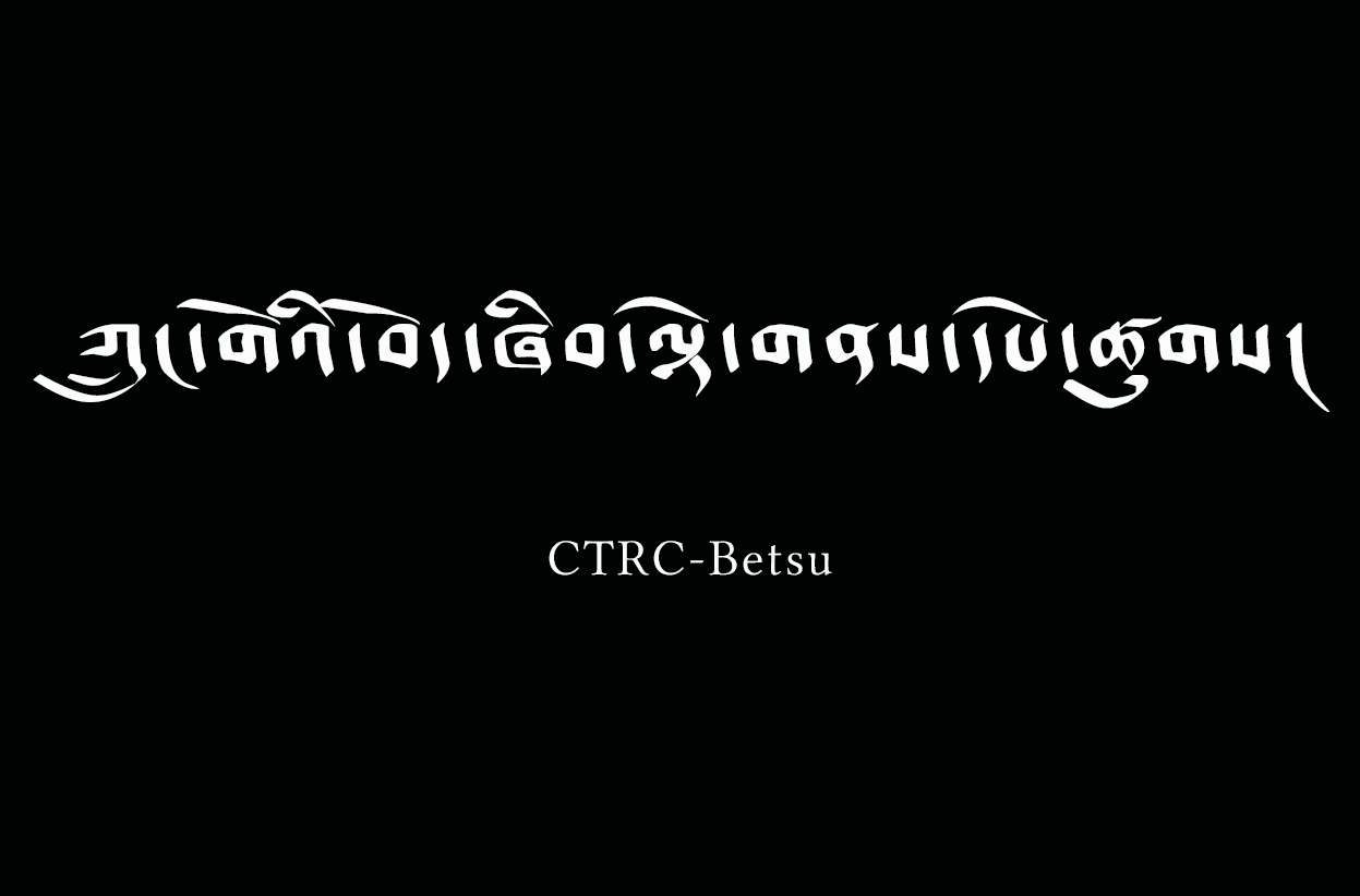 བོད་ཞིབ་འཇུག་ལྟེ་གནས་དཔེ་ཚུགས་ཡིག་གཟུགས།
