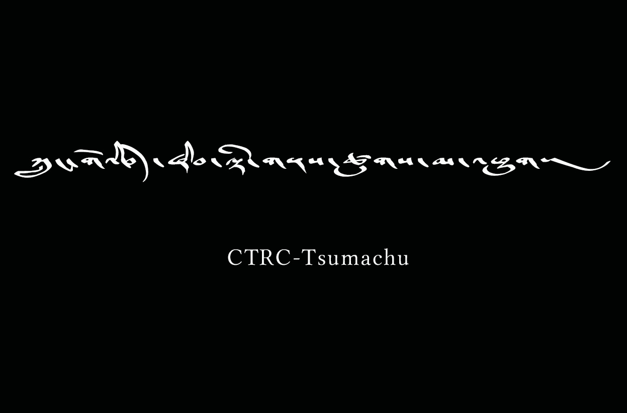 བོད་རིག་པ་ལྟེ་གནས་ཀྱི་ཚུགས་མ་འཁྱུག་ཡིག་གཟུགས།